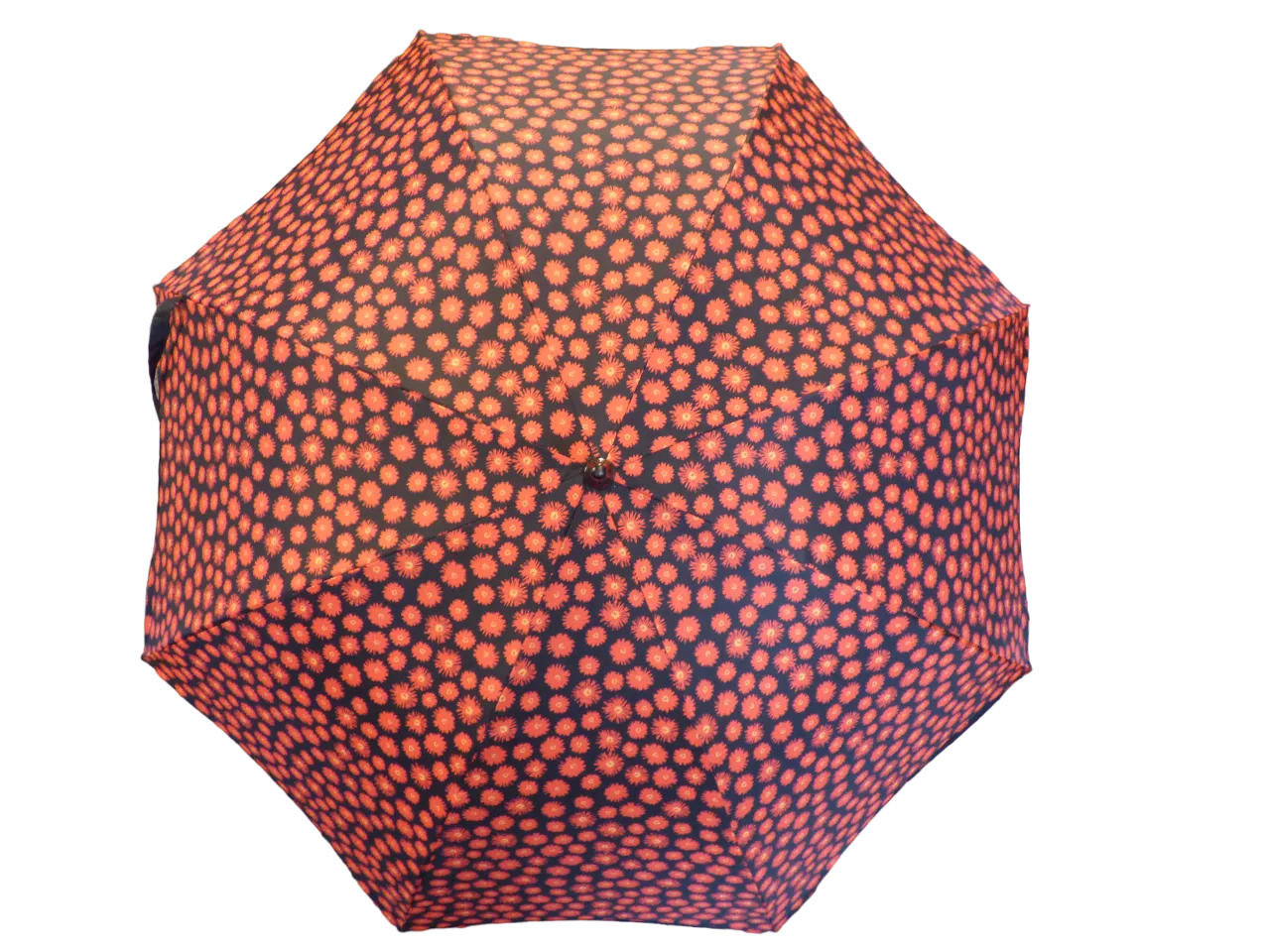 Noir – Fleur Rouges
